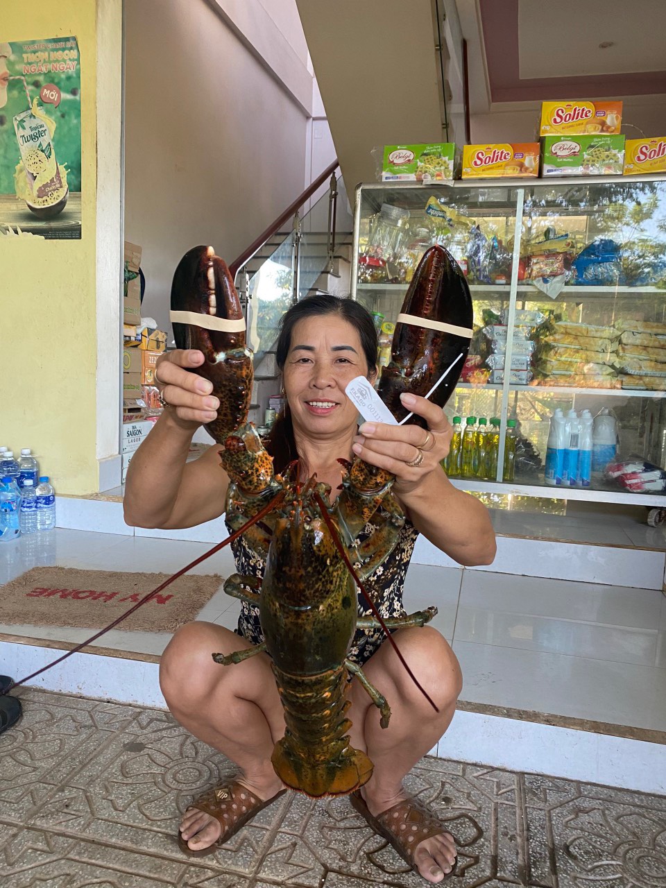 TÔM HÙM ALASKA VÀO MÙA, GIÁ GIẢM– CÁCH CHỌN & BẢO QUẢN ĐÚNG CHUẨN