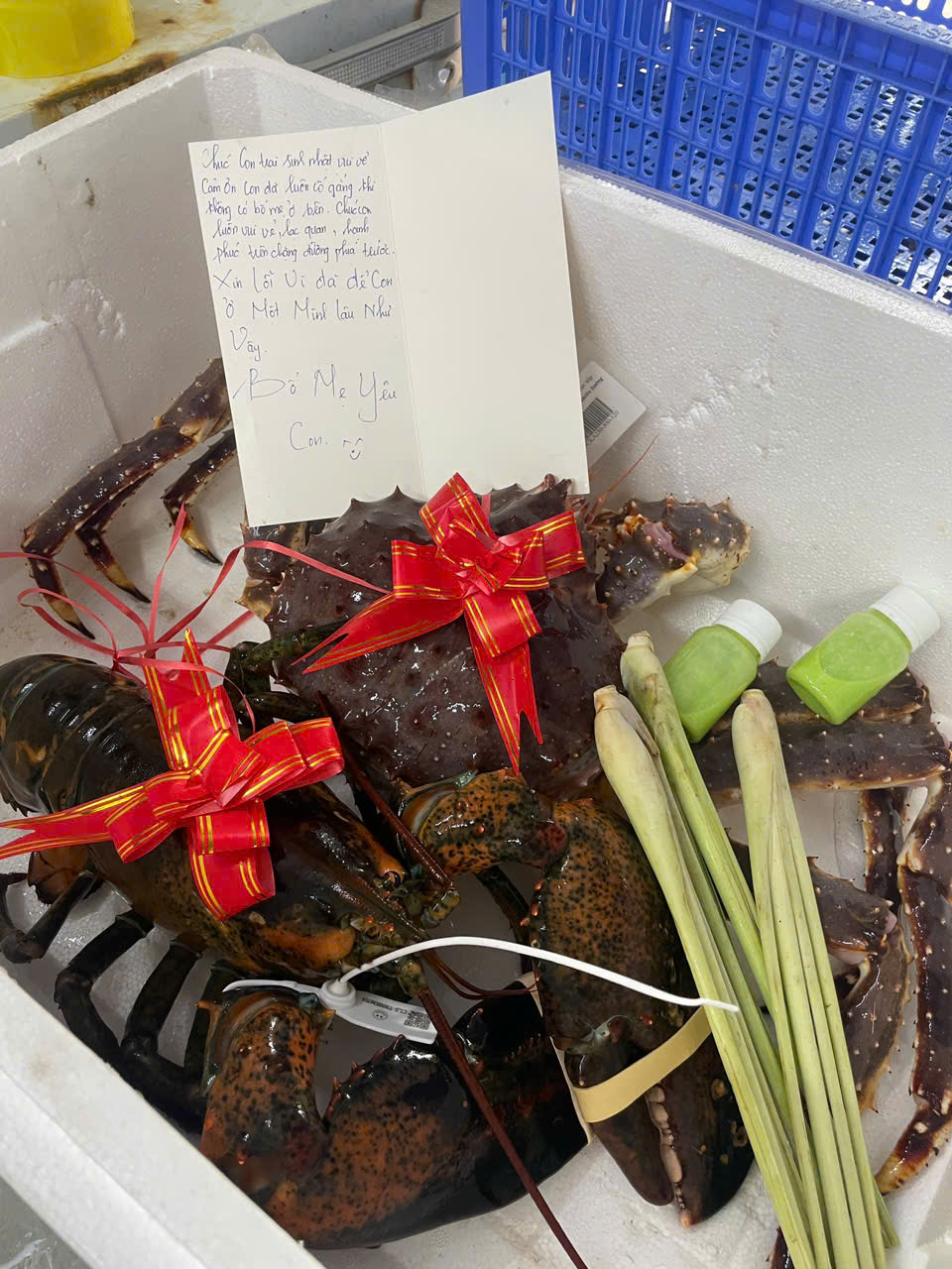 TÔM HÙM ALASKA CHỈ 420K – QUÀ TẾT THIẾU NHI ĐẲNG CẤP, TƯƠI NGON TẬN TAY