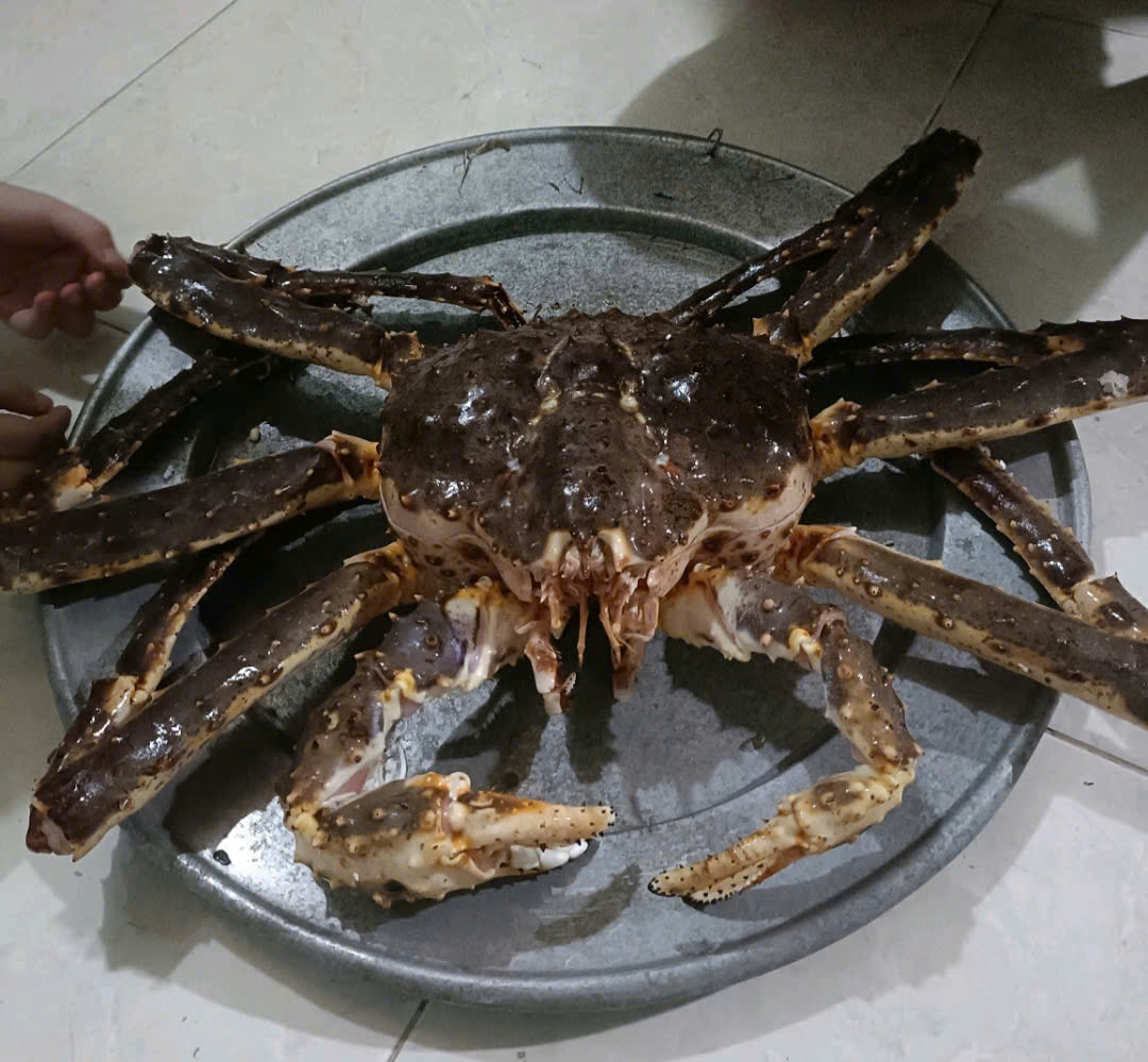 HẢI SẢN EKAGO CÓ BÁN CUA HOÀNG ĐẾ NGỘP KHÔNG?