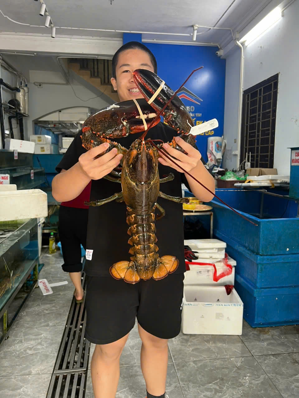 TẶNG TÔM HÙM: LỜI CHÚC TẾT SANG TRỌNG VÀ Ý NGHĨA