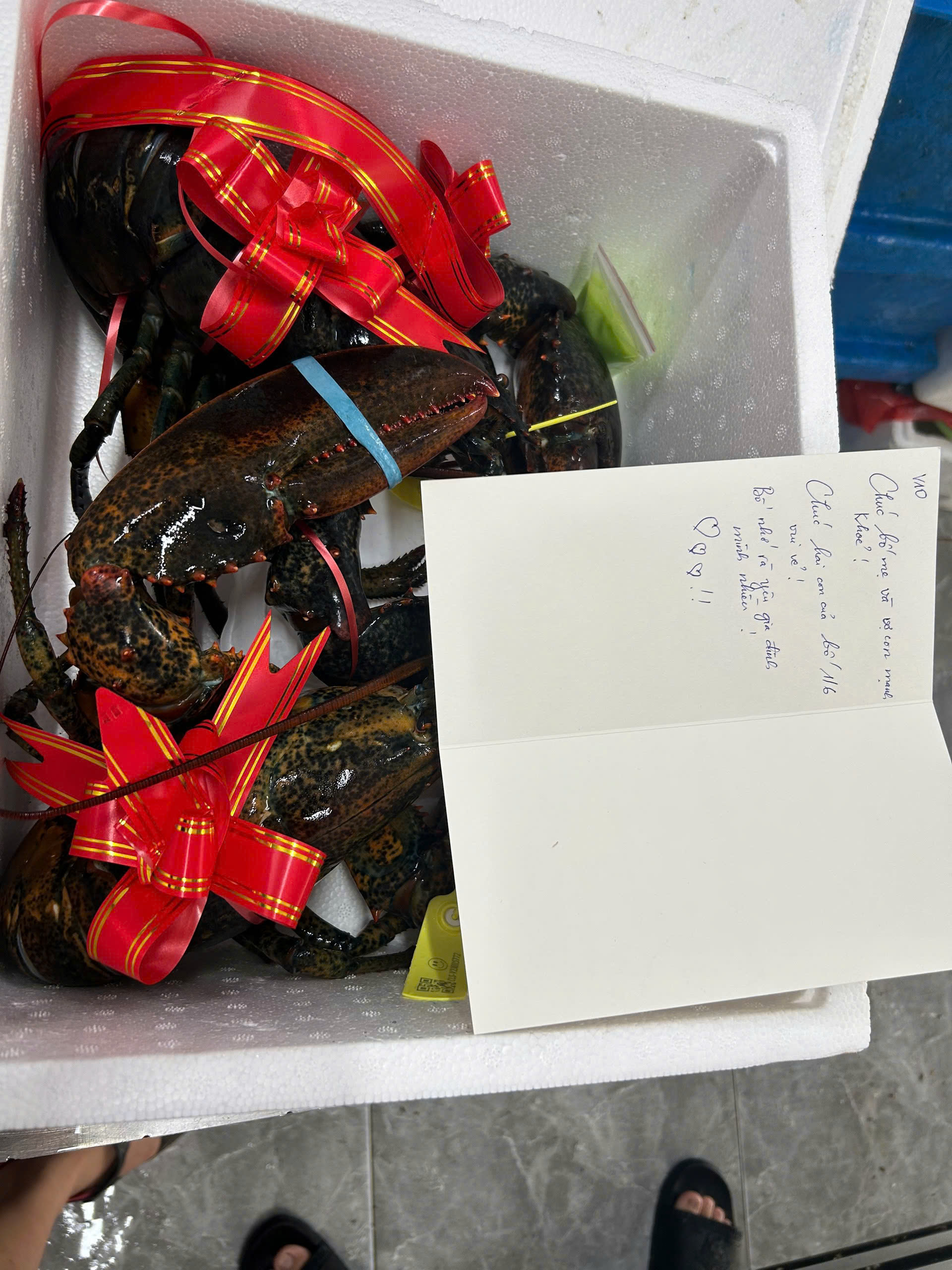 TOP 3 MÓN HẢI SẢN CAO CẤP BIẾU TẶNG VU LAN – TINH TẾ, BỔ DƯỠNG, SANG TRỌNG