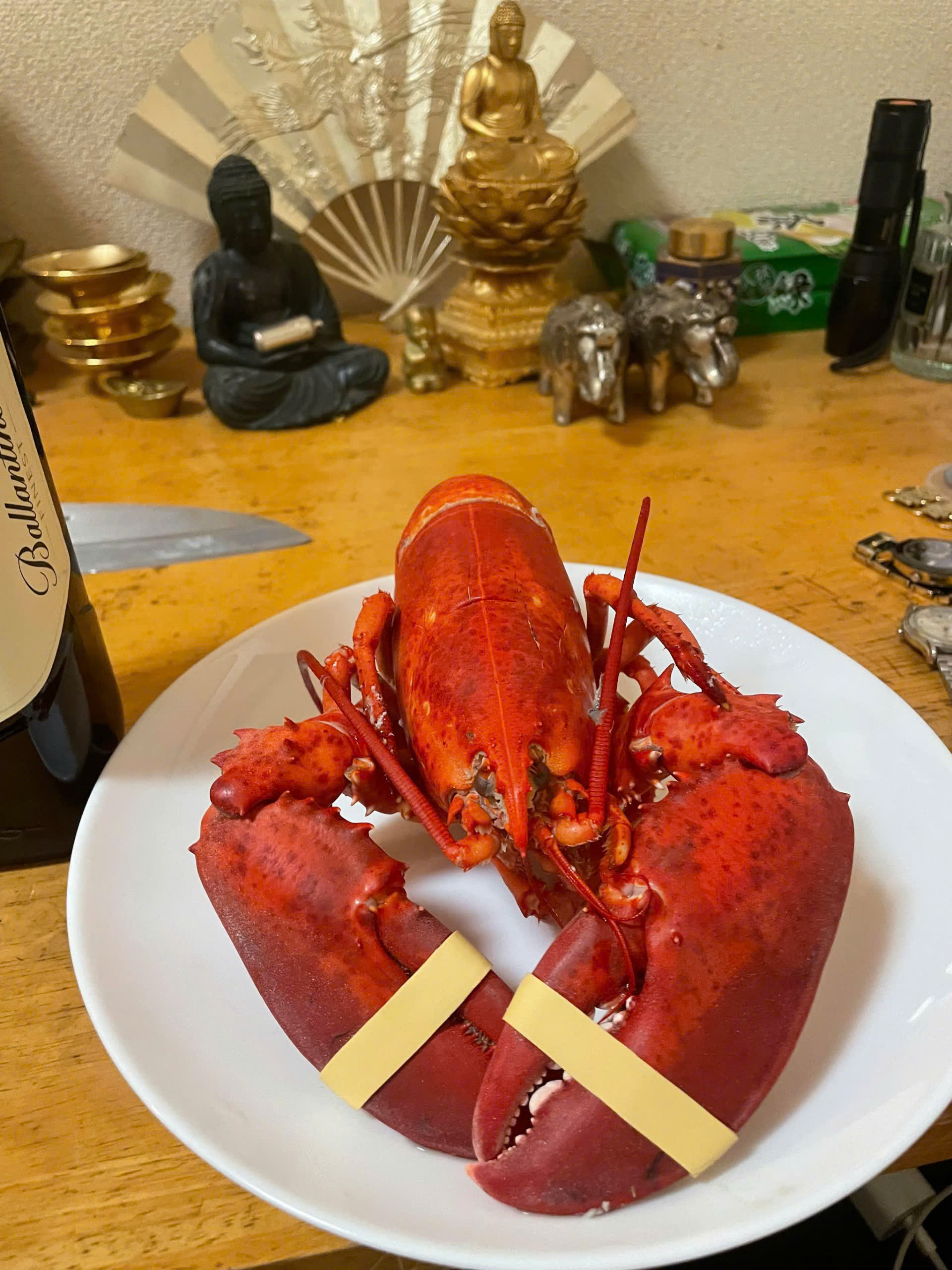 KHÁM PHÁ HẢI SẢN CAO CẤP EKAGO - TINH HOA ẨM THỰC TẾT