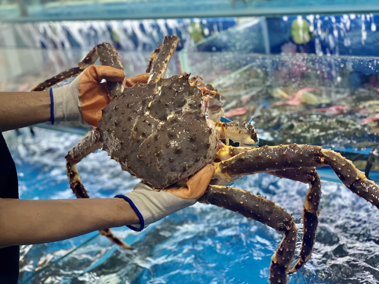 MÓN QUÀ 8/3 KHIẾN PHÁI ĐẸP BẤT NGỜ VÀ HẠNH PHÚC