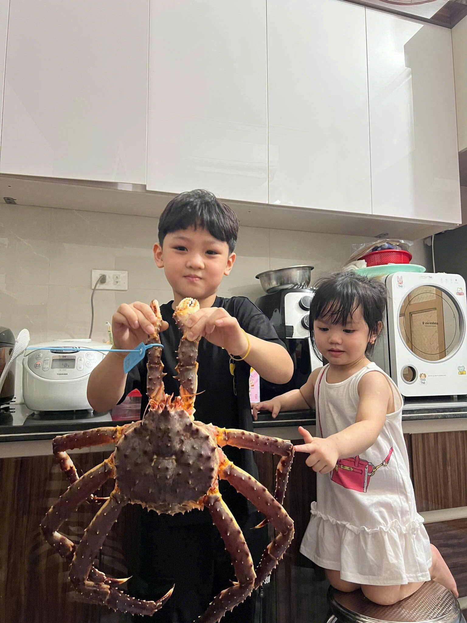 TOP 3 MÓN NGON DỄ LÀM TỪ CUA HOÀNG ĐẾ CHO TIỆC 8/3 TẠI NHÀ