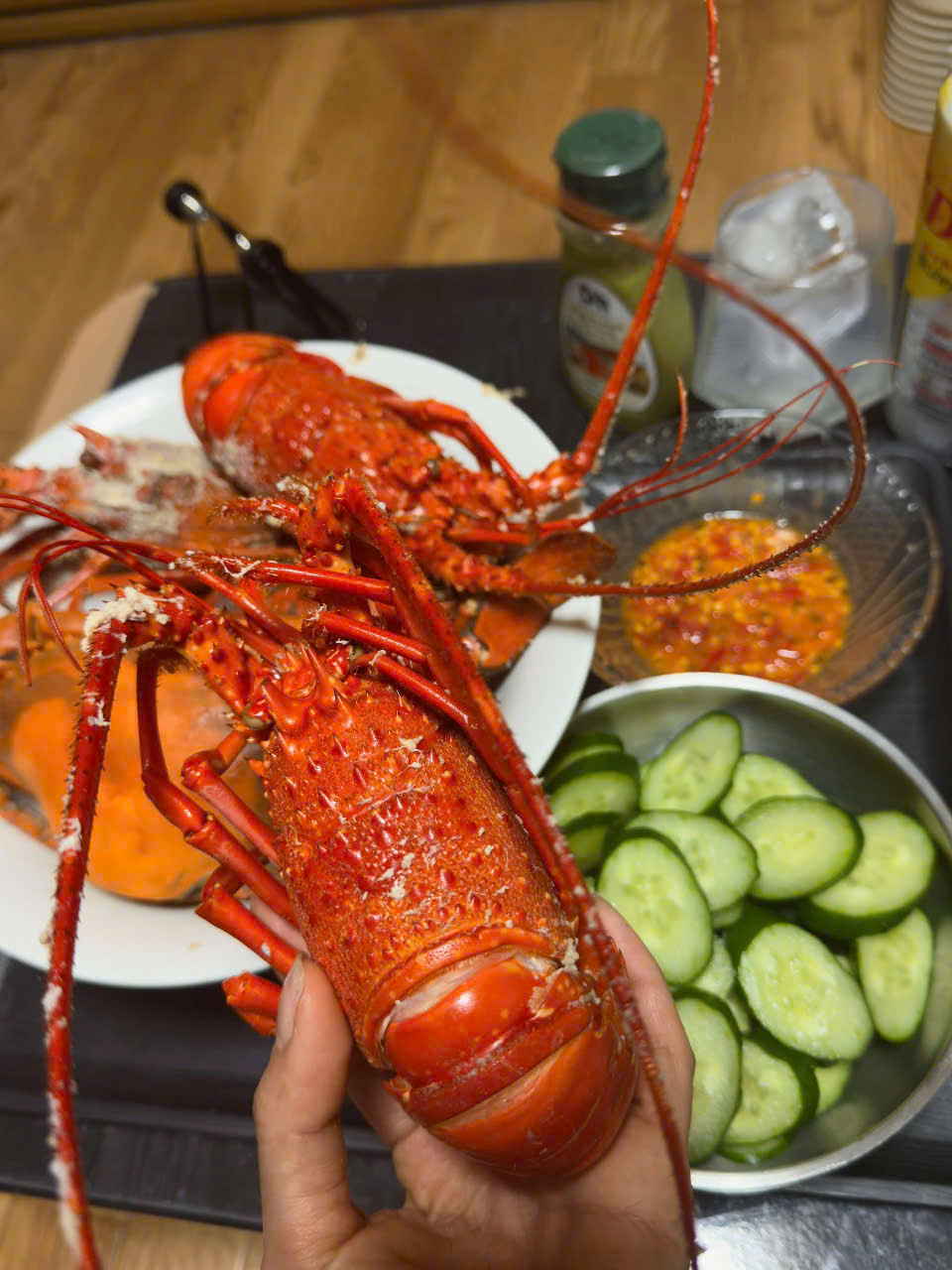 ĐẶT NGAY HÔM NAY: TÔM HÙM XANH 350K/CON – GIAO HÀNG TOÀN QUỐC