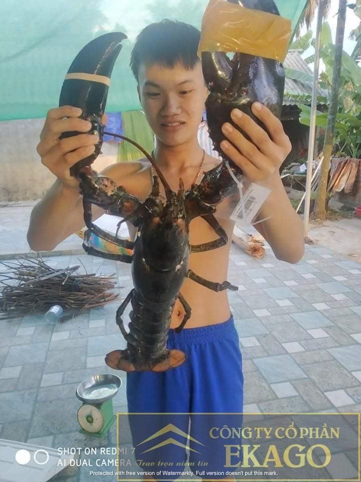 HƯỚNG DẪN BẢO QUẢN VÀ HẤP HẢI SẢN ĐÚNG CÁCH – GIỮ NGUYÊN VỊ NGỌT & DINH DƯỠNG