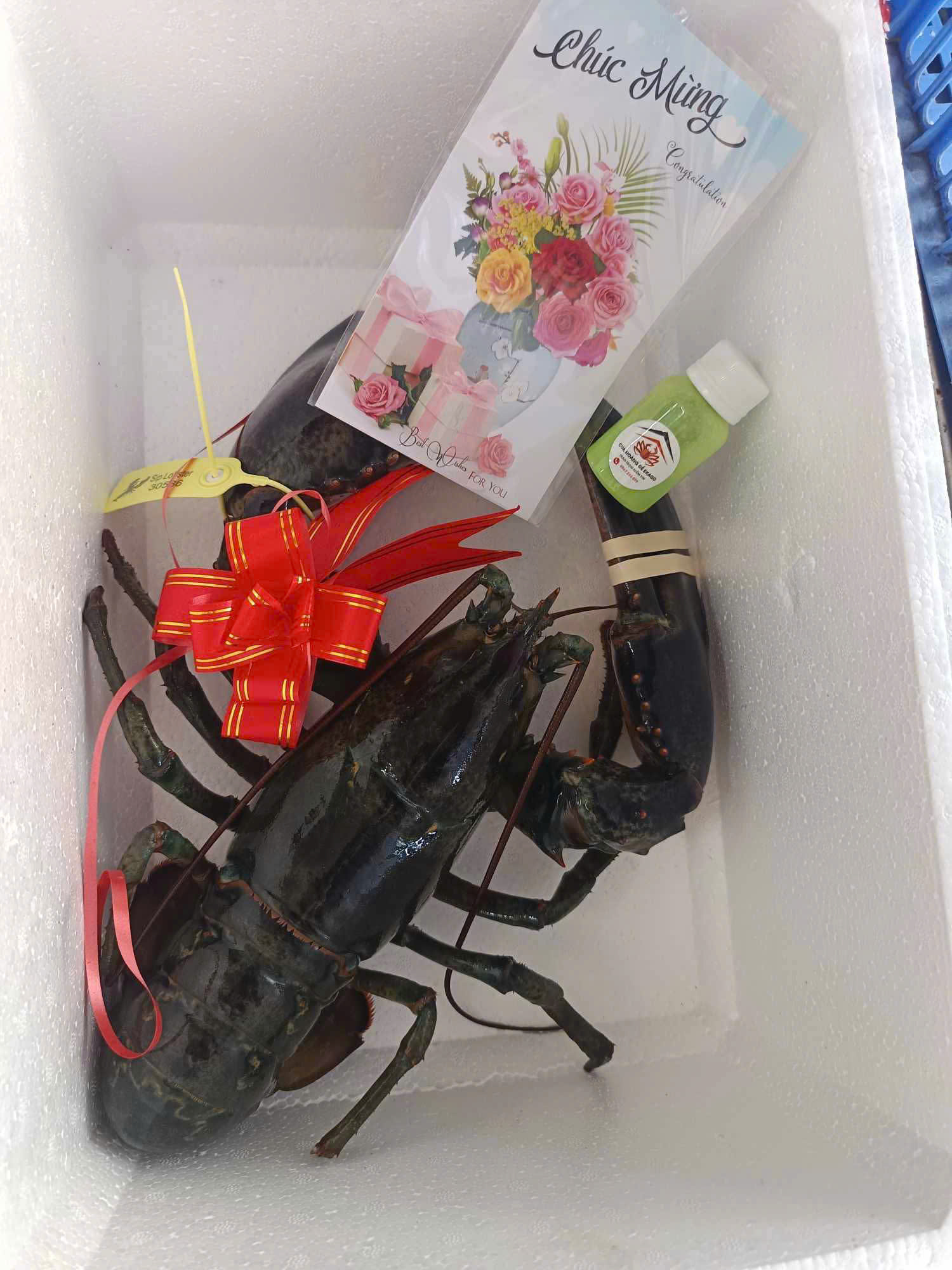 Gợi ý quà Vu Lan cao cấp – Bào ngư, cua Cà Mau, tôm hùm nhập khẩu