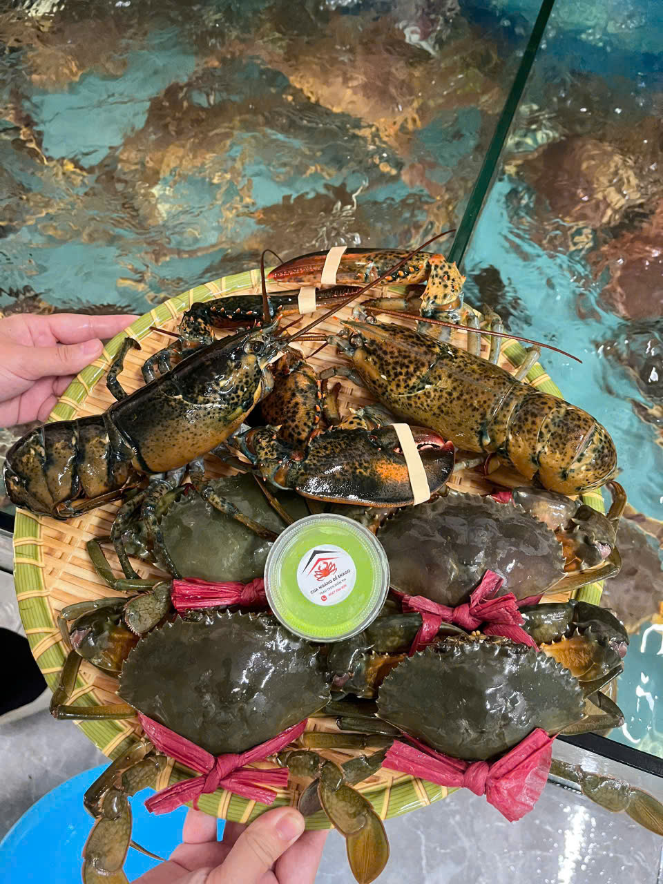 Combo Hải Sản Cao Cấp – 4 Cua Cà Mau + 2 Tôm Hùm Alaska Chỉ 1.400K, Giao Tận Tay