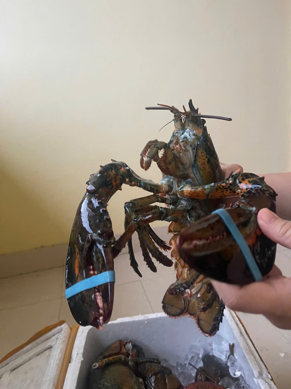 MÓN HẢI SẢN ĐẲNG CẤP KHÔNG THỂ THIẾU TRONG TIỆC 2/9: TÔM HÙM ALASKA & BÀO NGƯ