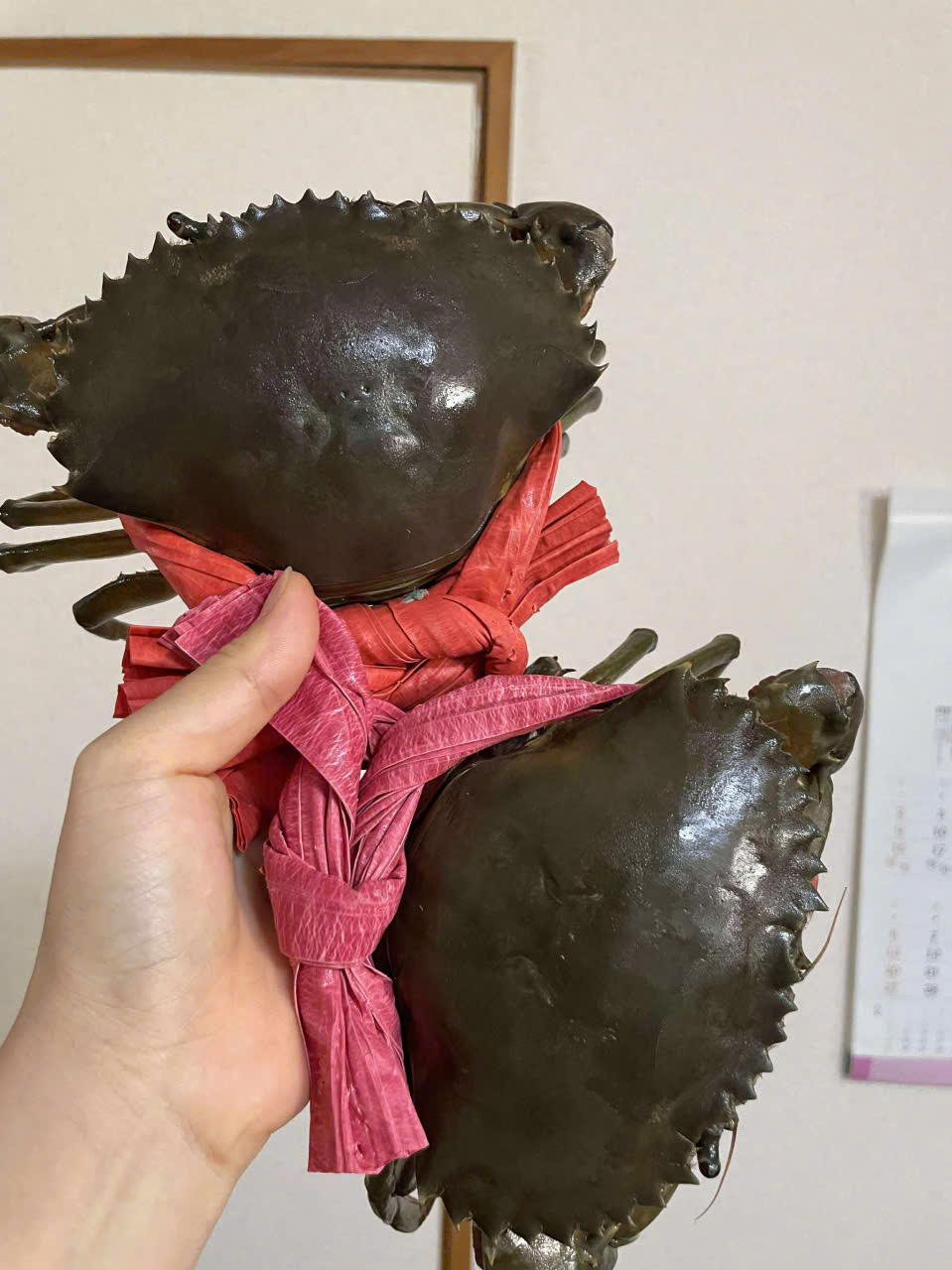 CUA CÀ MAU GẠCH SON – MÓN QUÀ THẬT LÒNG CHO NGƯỜI PHỤ NỮ YÊU THƯƠNG