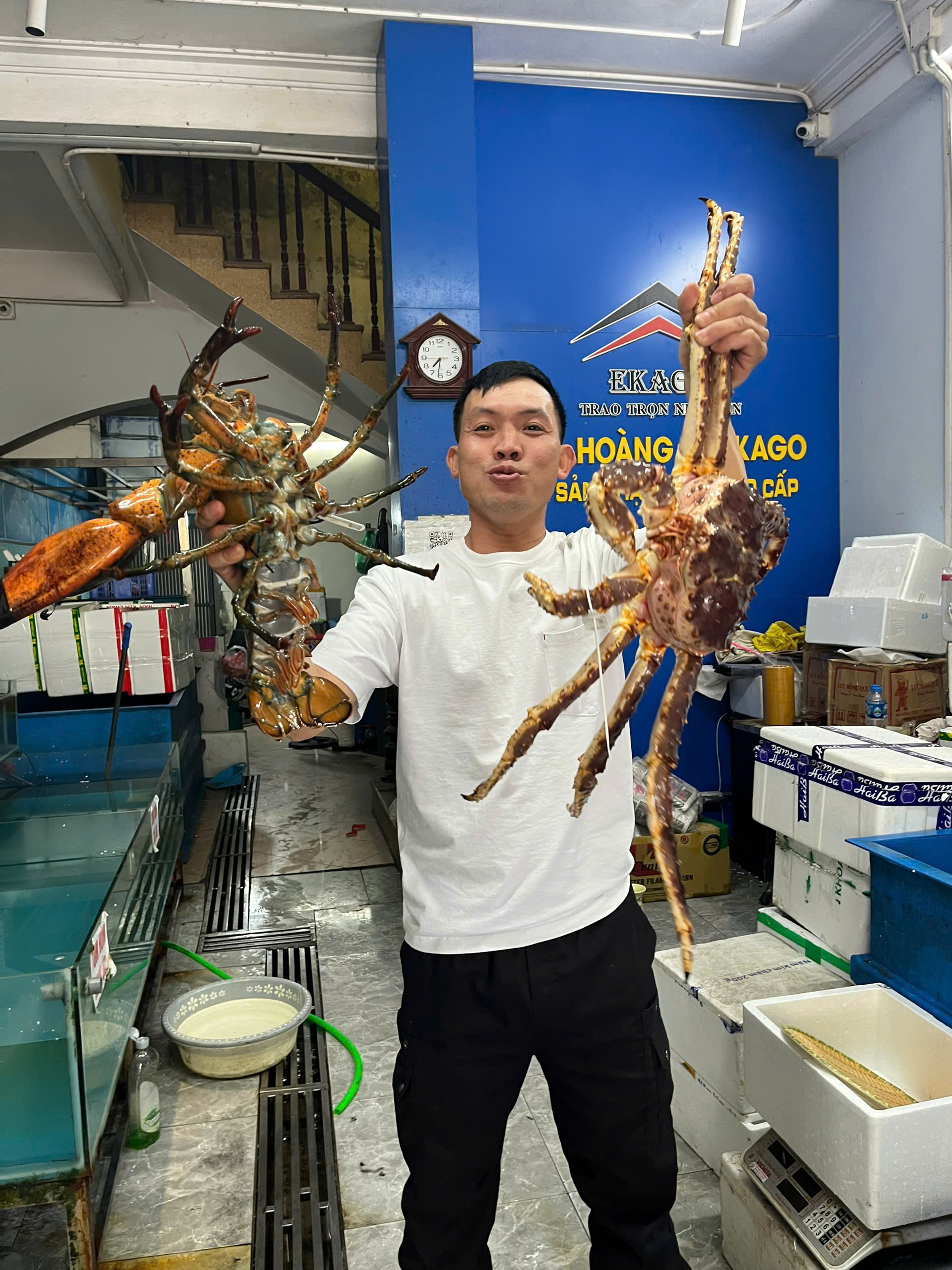 BẢNG GIÁ TÔM HÙM ALASKA HÔM NAY – CẬP NHẬT MỚI NHẤT TỪ EKAGO.VN