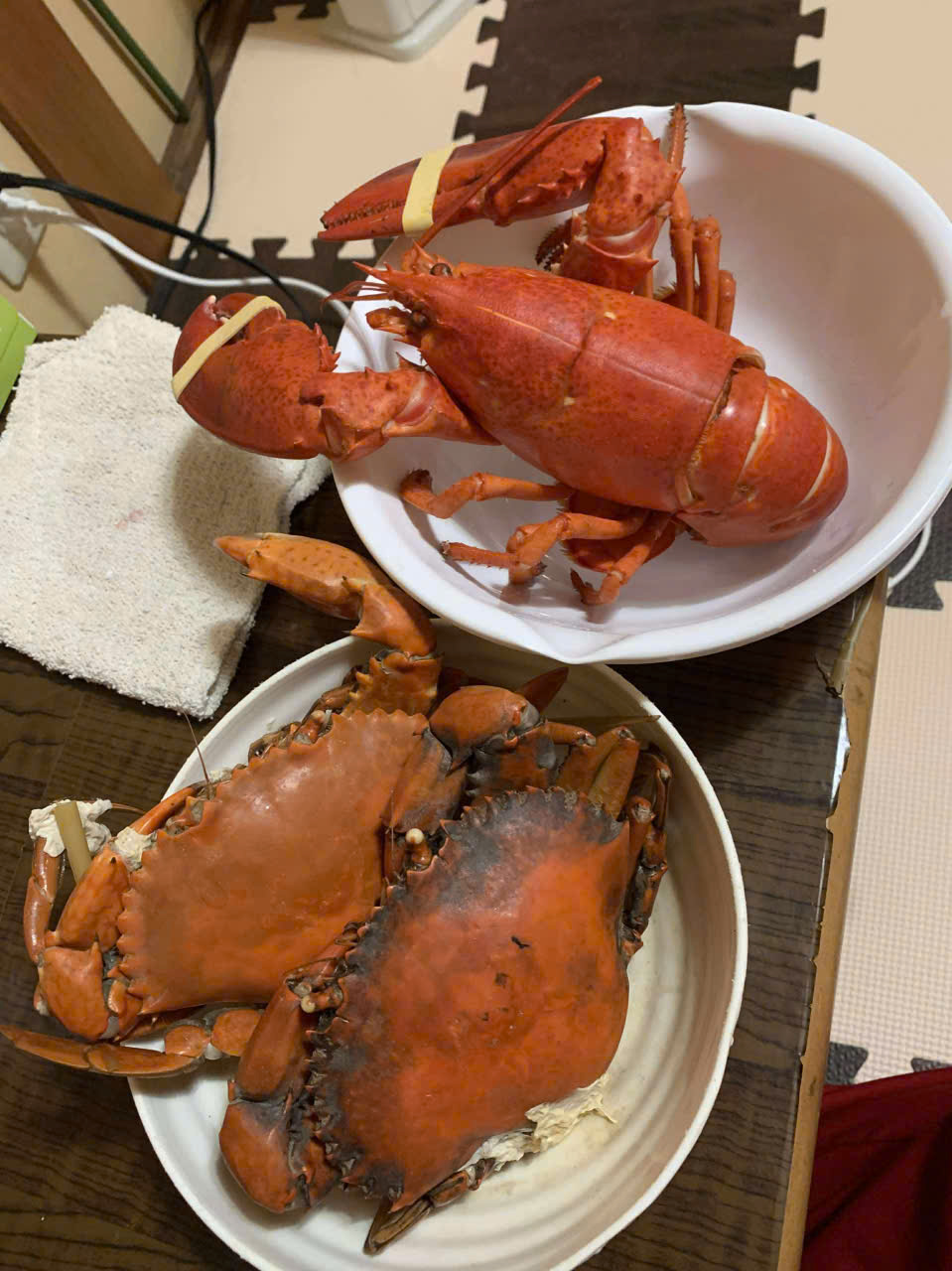 TÔM HÙM ALASKA SIZE 0,5KG – NGON, DỄ ĂN, GIÁ ĐANG RẺ NHẤT NĂM