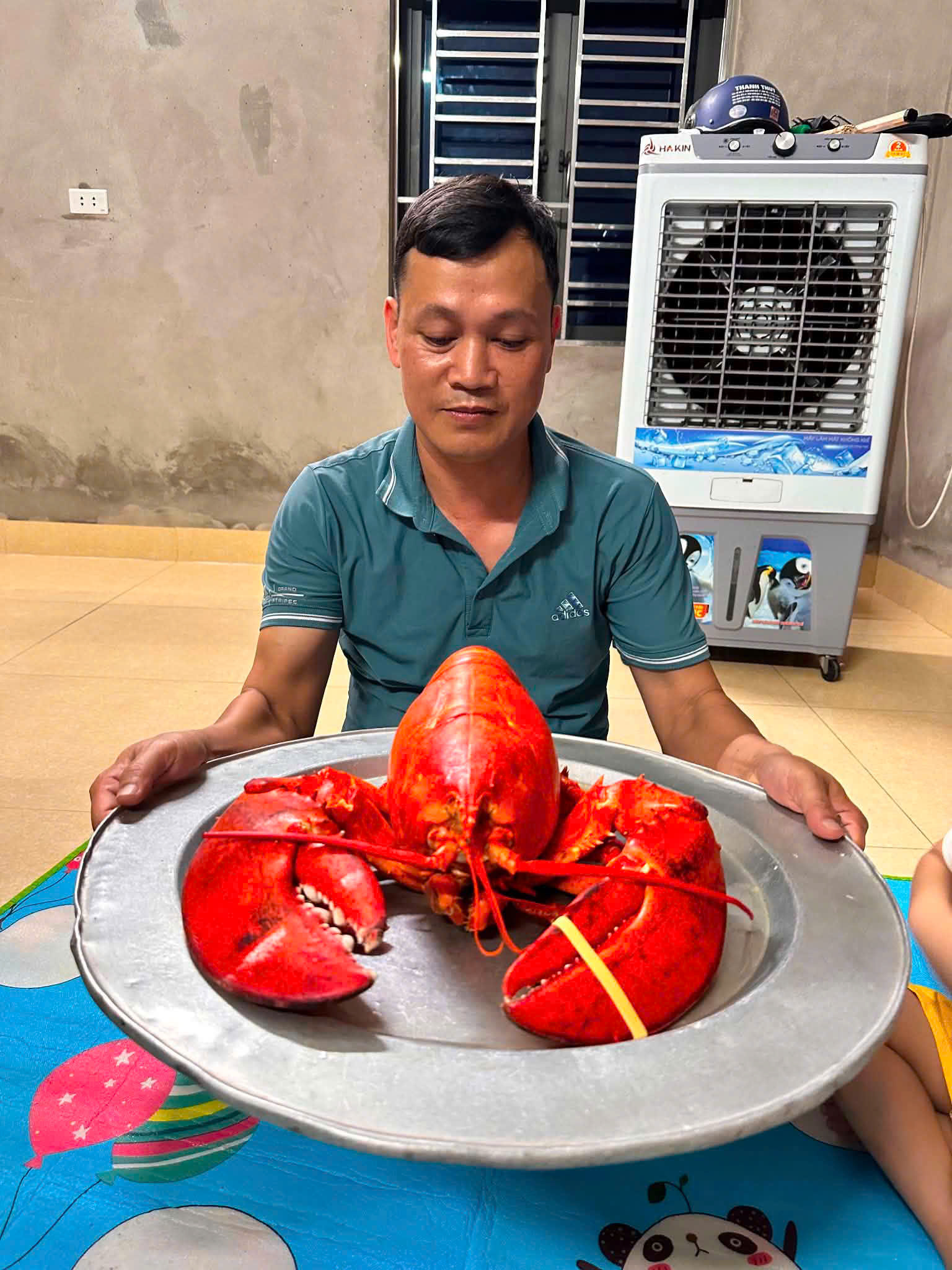 MUA TÔM HÙM ALASKA Ở ĐÂU TƯƠI SỐNG, GIÁ TỐT?