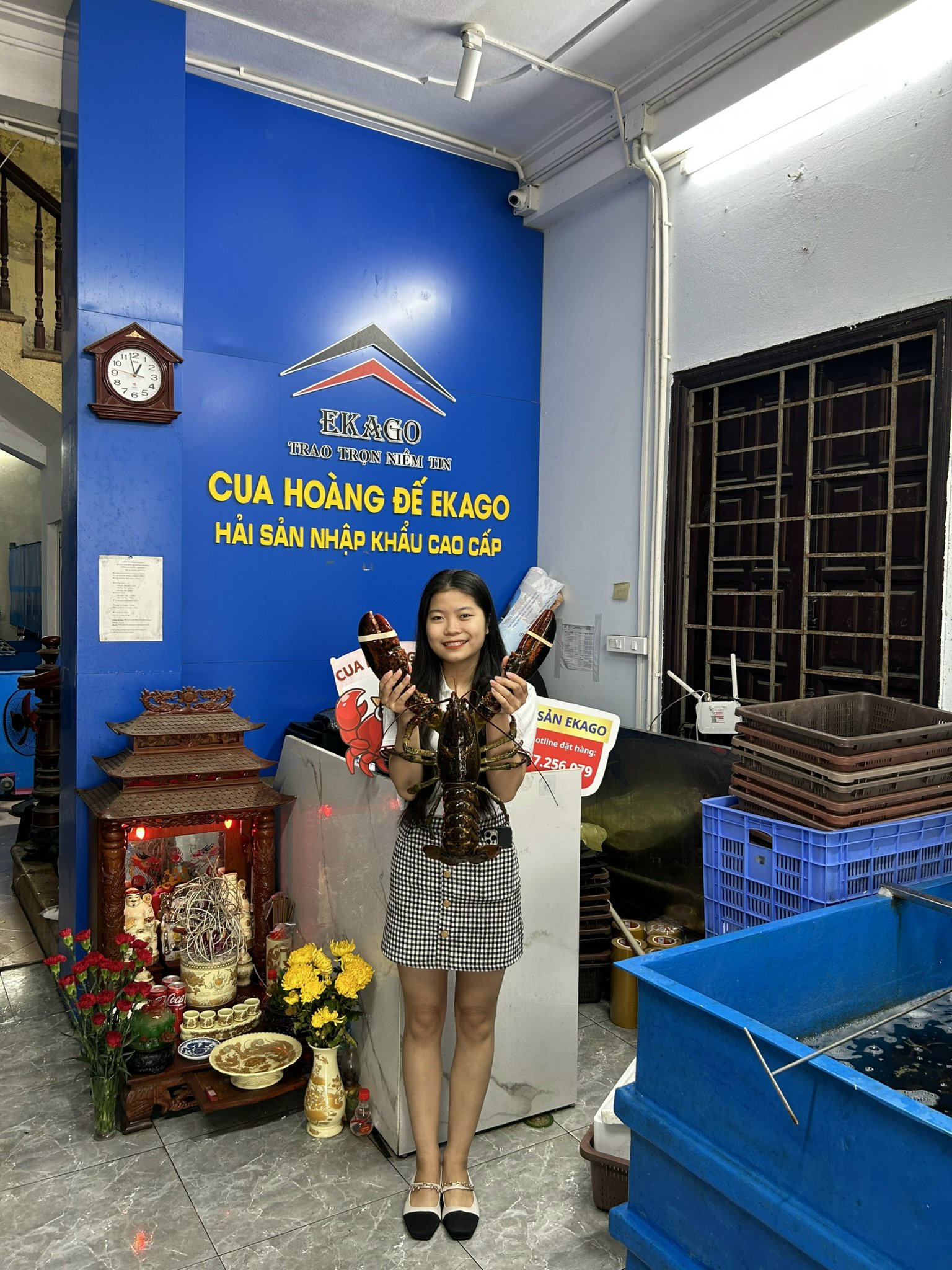 TÔM HÙM ALASKA SỐNG - SIZE 500GR