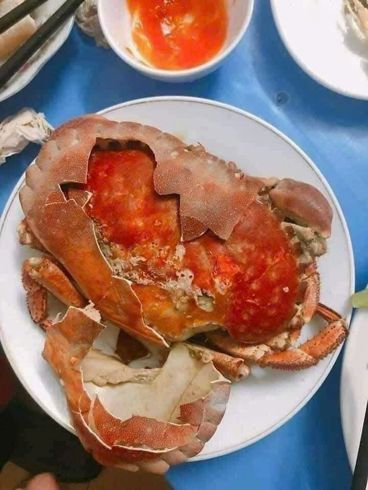 CUA NÂU NAUY TƯƠI SỐNG SIZE TO