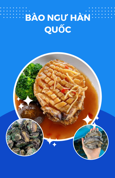 Bào ngư Hàn Quốc Size Đại