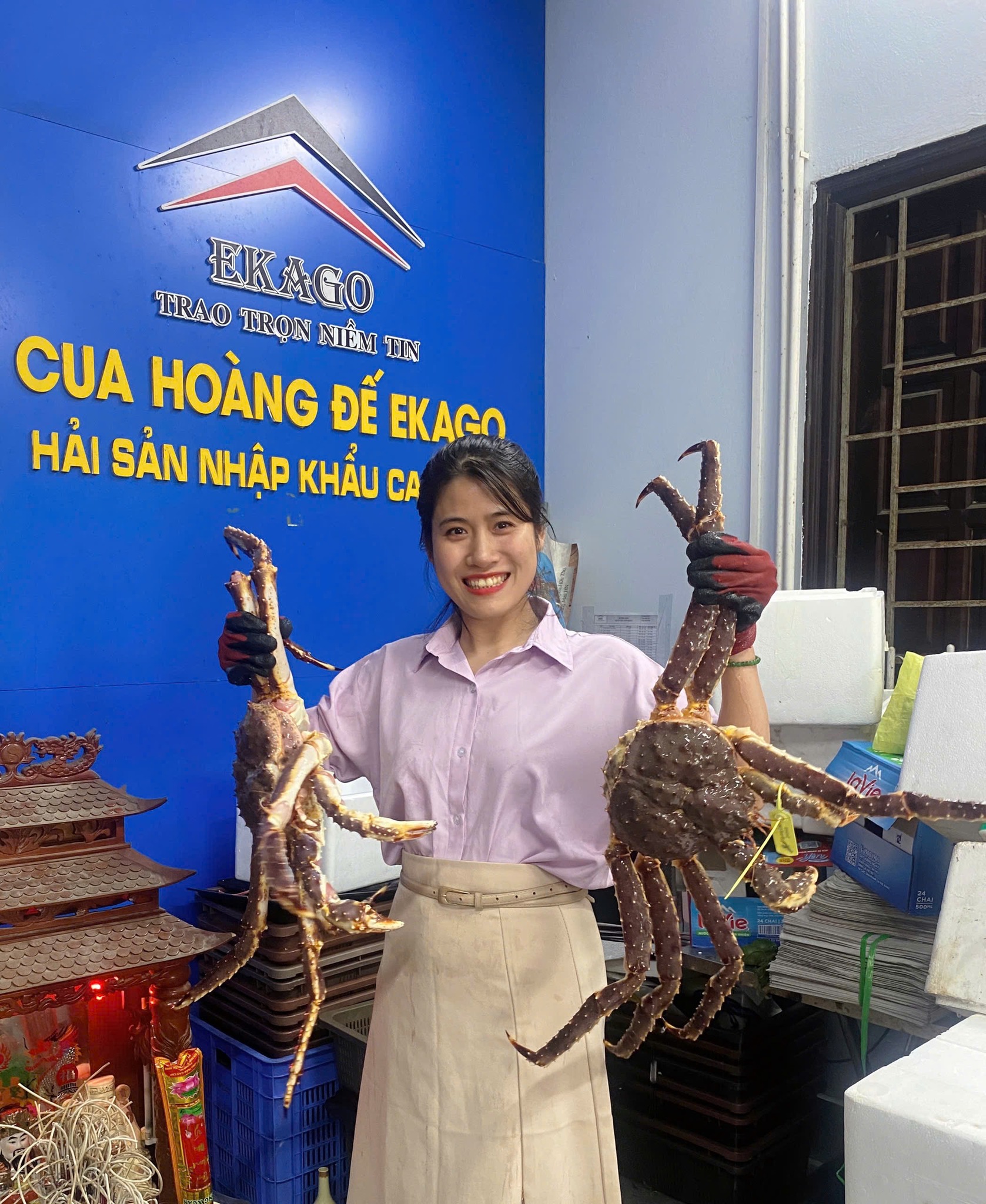 Nhập khẩu chính ngạch Kingcrab