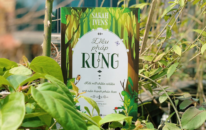 Liệu pháp rừng – Kết nối thiên nhiên và trở nên hạnh phúc hơn