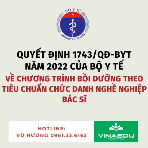 Quyết định 1743/QĐ-BYT năm 2022 của Bộ Y tế về Chương trình bồi dưỡng theo tiêu chuẩn chức danh nghề nghiệp bác sĩ