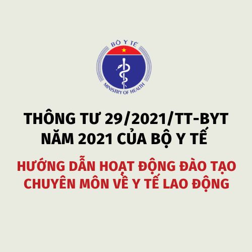 THÔNG TƯ 29/2021/TT-BYT HƯỚNG DẪN HOẠT ĐỘNG ĐÀO TẠO CHUYÊN MÔN VỀ Y TẾ LAO ĐỘNG
