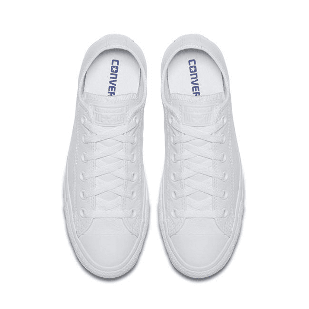Converse Chuck Taylor All Star Mono Leather Low Top