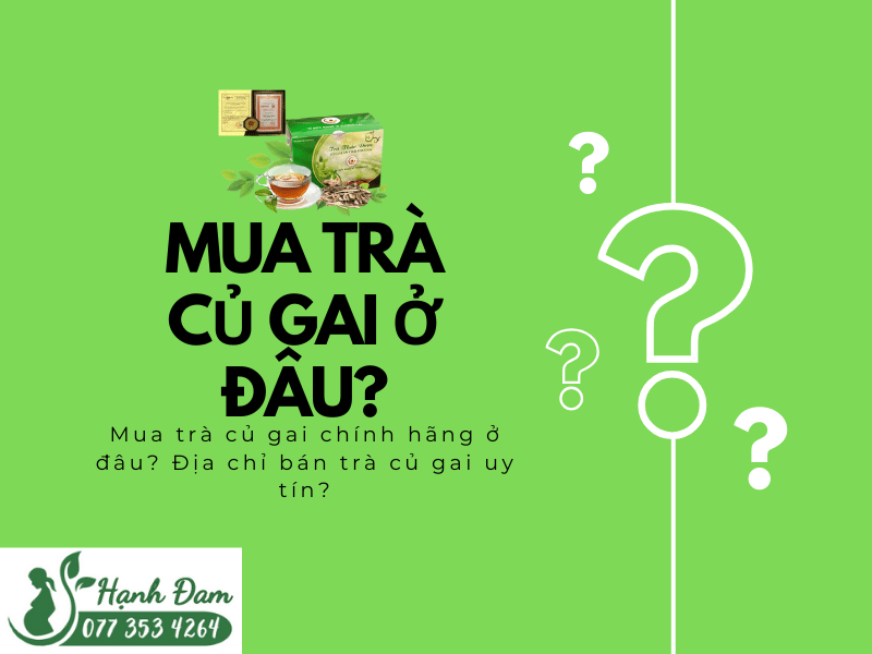 Mua trà củ gai ở đâu? Địa chỉ bán trà củ gai chính hãng