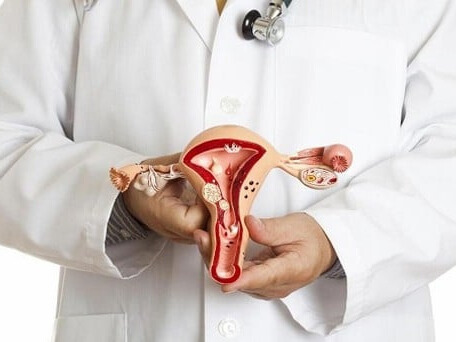 Niêm mạc tử cung là gì?