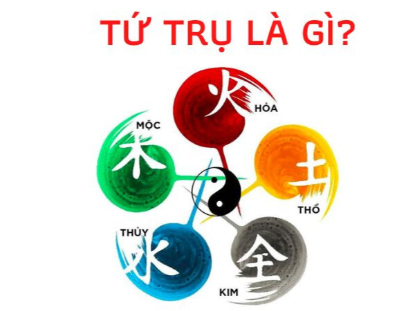Ý nghĩa 12 cung mệnh trong tứ trụ tử bình