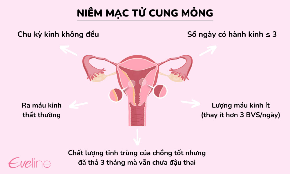 niêm mạc tử cung mỏng