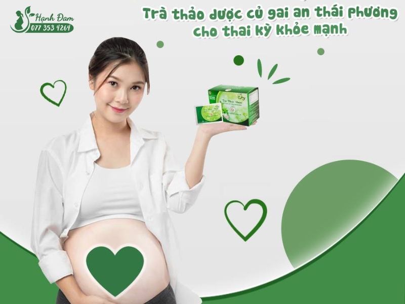 trà củ gai giúp thai kỳ phát triển khỏe mạnh