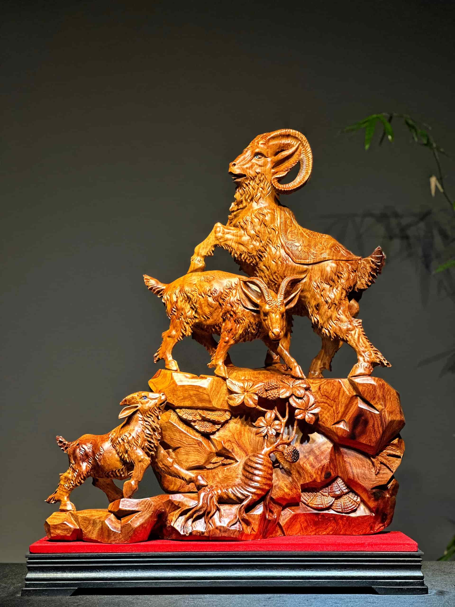 Tam dương khai thái gỗ hương ta đẹp