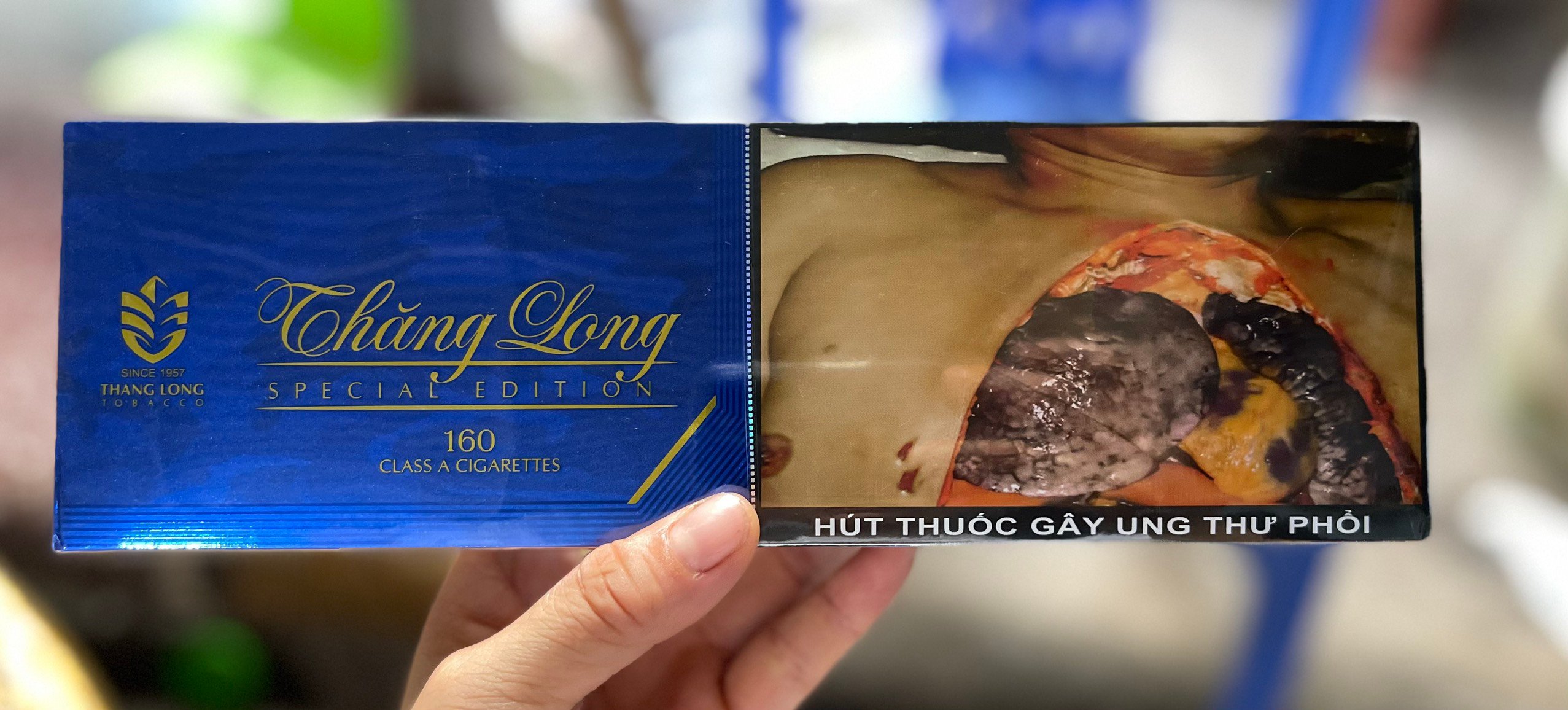 TL Thăng Long bao xanh(Special)/8