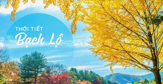 Tiết Bạch Lộ 2025 là ngày nào? Ý nghĩa và những điều cần biết. Tiết Bạch Lộ 2025 là ngày nào? Ý nghĩa và những điều cần biết.