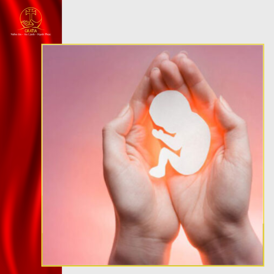 Tội phá thai trong đạo Công giáo | Hình phạt và cách xưng tội