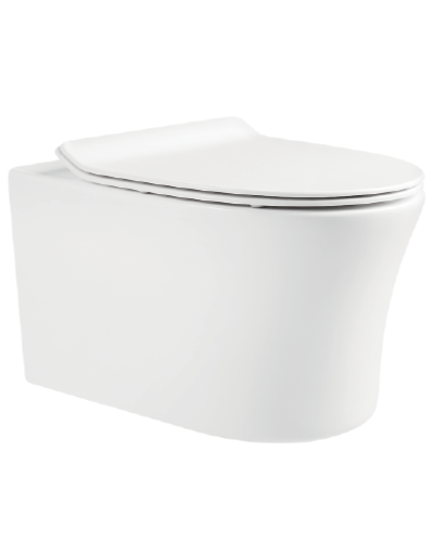 Bồn cầu treo tường Dobidos LJ-209