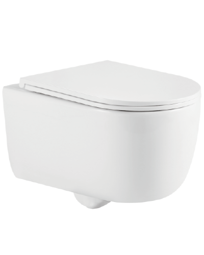 Bồn cầu treo tường Dobidos LJ-221