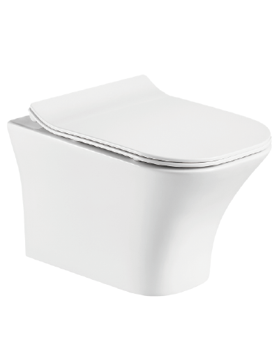 Bồn cầu treo tường Dobidos LJ-224