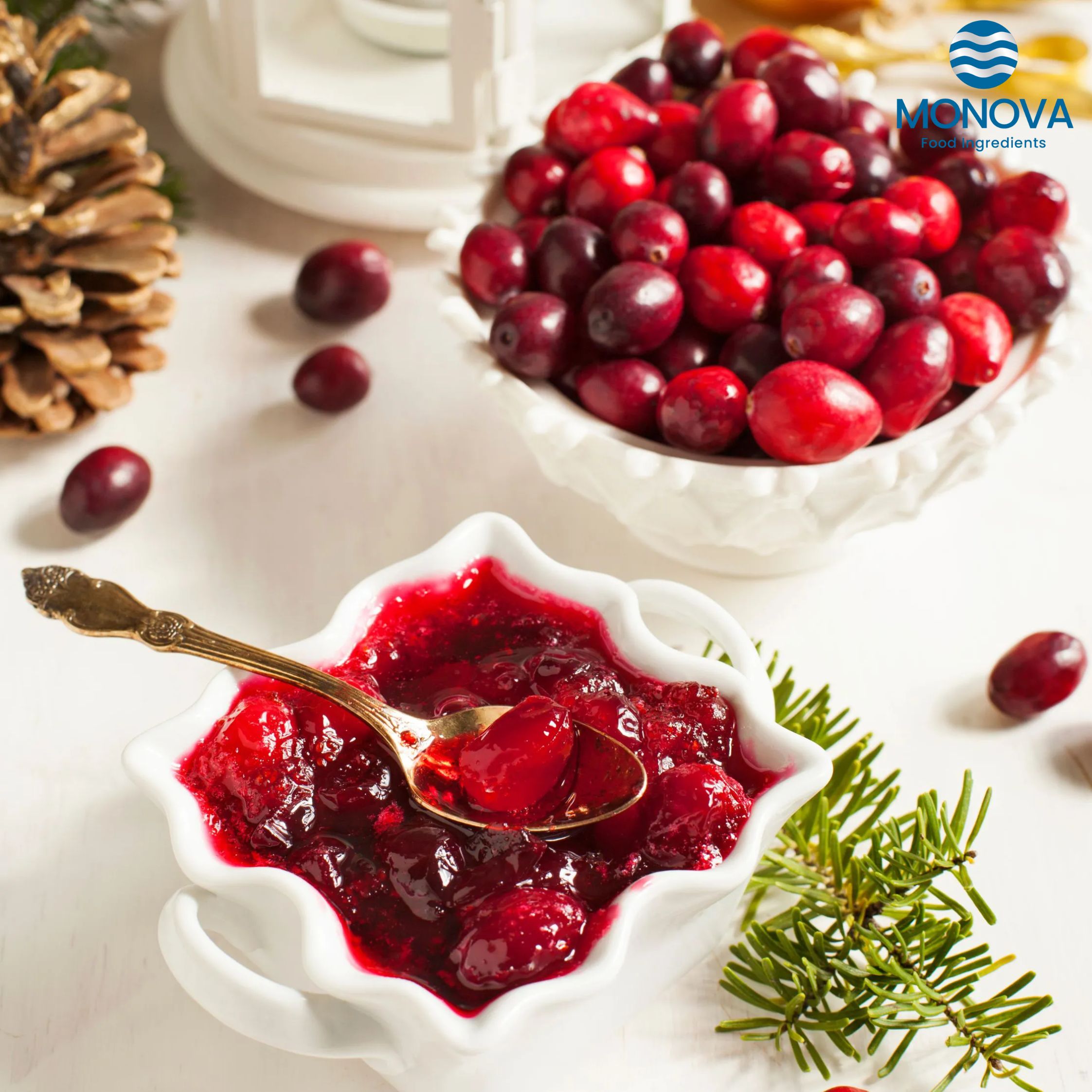 CHIẾT XUẤT NAM VIỆT QUẤT