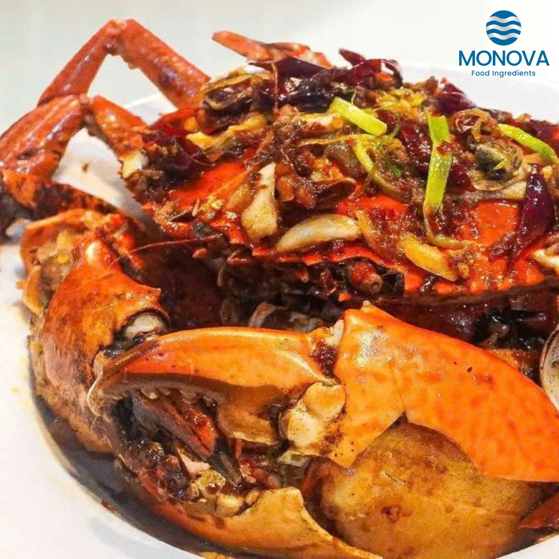 HƯƠNG CUA XỐT X.O