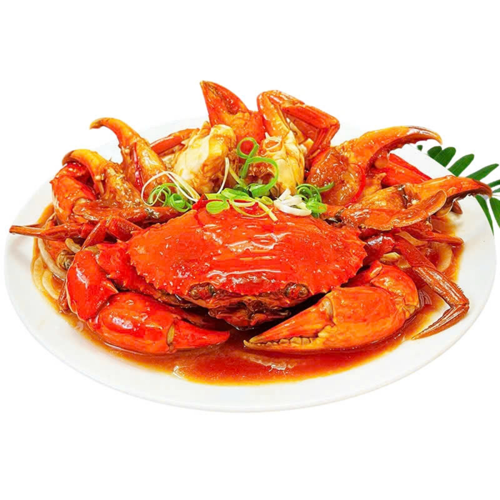 HƯƠNG CUA