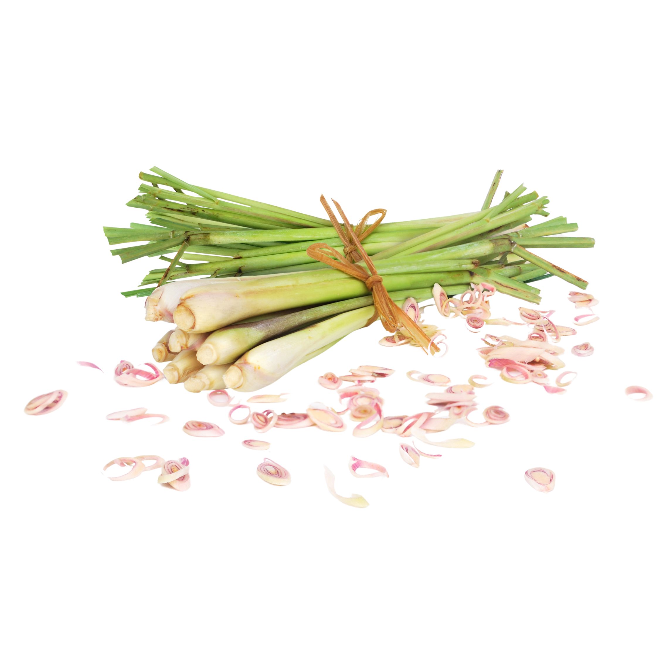 HƯƠNG SẢ