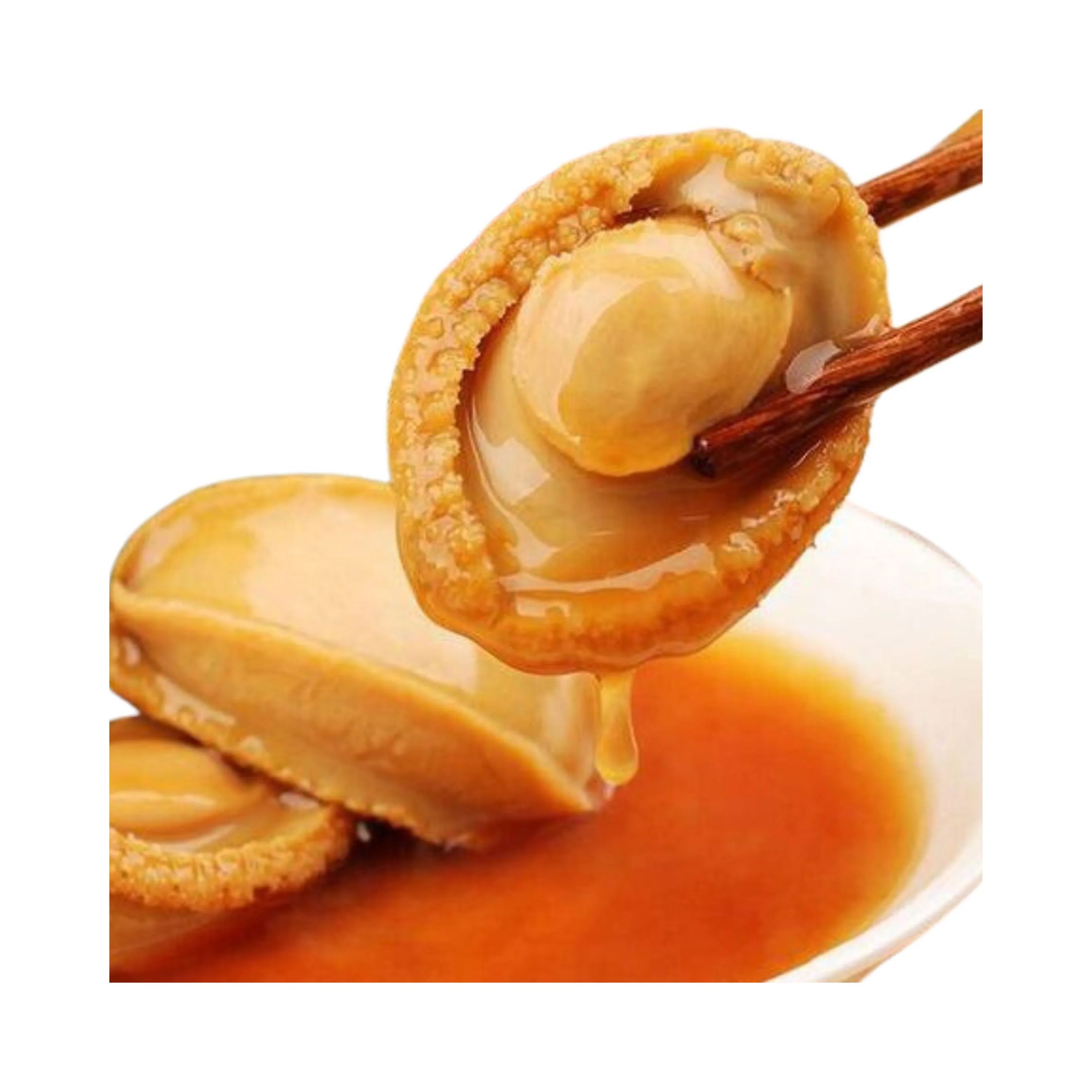 CHIẾT XUẤT BÀO NGƯ