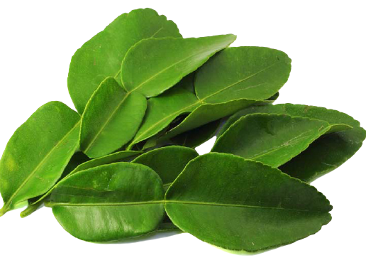 HƯƠNG LÁ CHANH THÁI (KAFFIR)