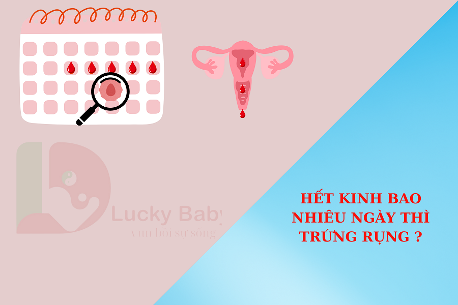 HẾT KINH BAO NHIÊU NGÀY THÌ TRỨNG RỤNG ?