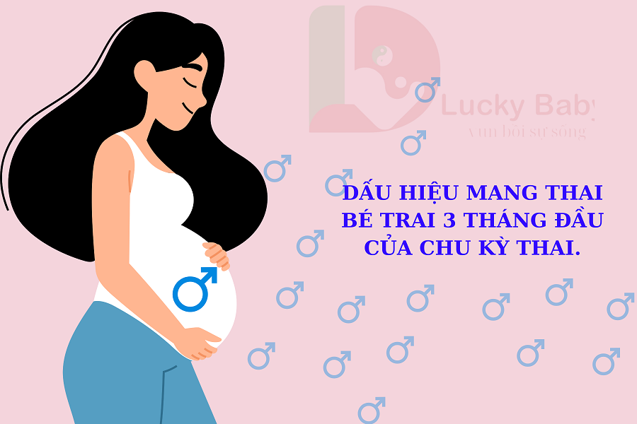 DẤU HIỆU MANG THAI BÉ TRAI 3 THÁNG ĐẦU CỦA CHU KỲ THAI.