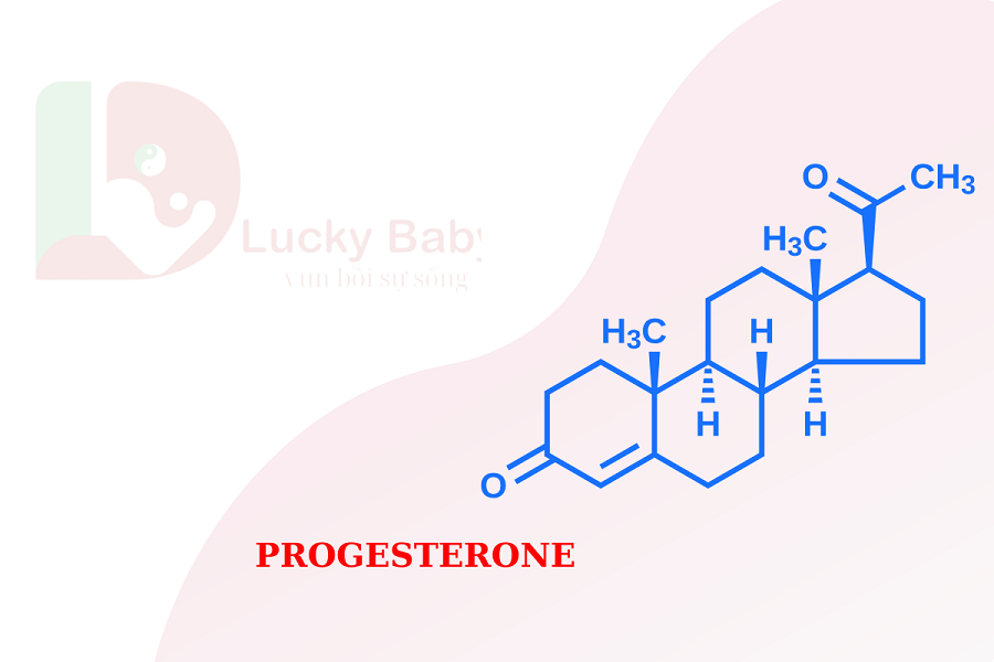 HORMONE PROGESTERONE LÀ GÌ, VAI TRÒ CỦA PROGESTERONE ĐỐI VỚI SINH SẢN CỦA PHỤ NỮ.
