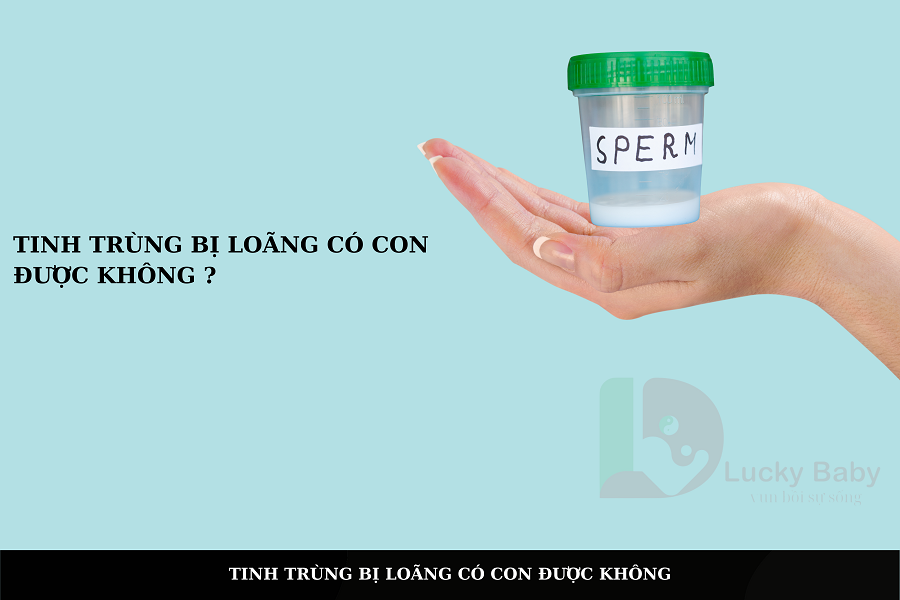TINH TRÙNG BỊ LOÃNG CÓ CON ĐƯỢC KHÔNG