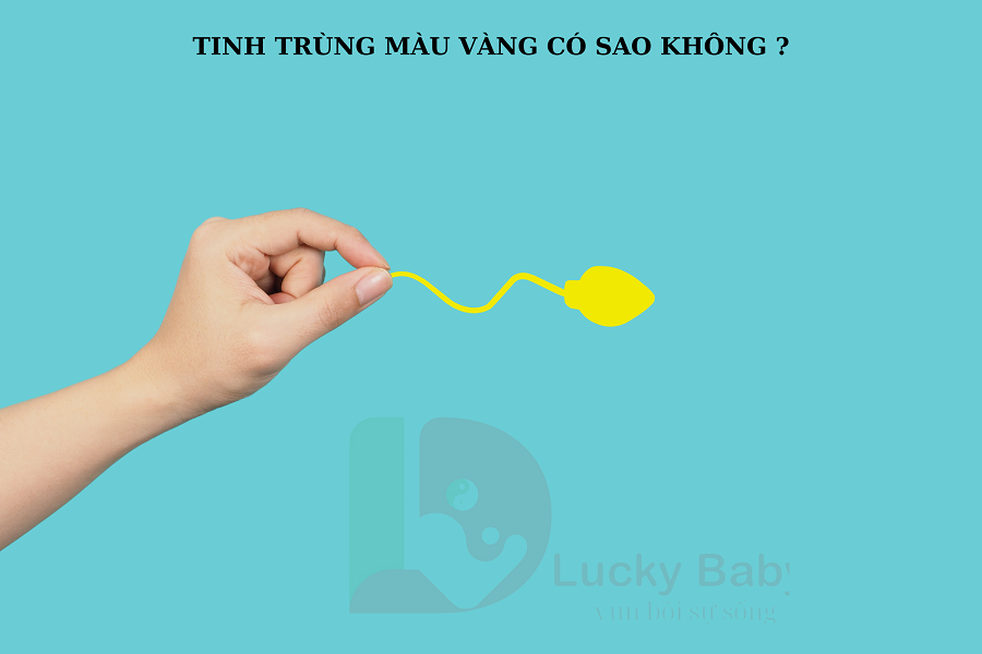 TINH TRÙNG MÀU VÀNG Ở NAM GIỚI