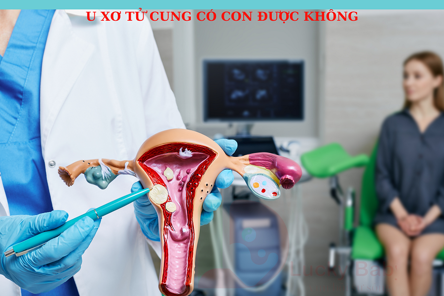 U XƠ TỬ CUNG CÓ MANG THAI ĐƯỢC KHÔNG
