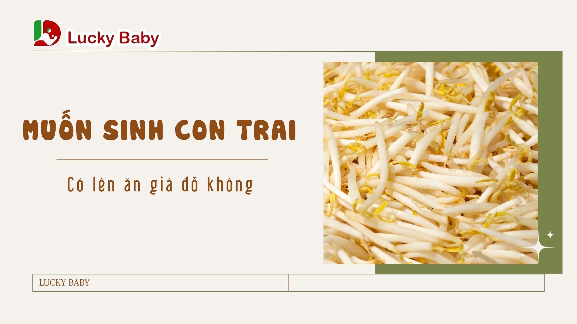 Muốn sinh con trai có nên ăn giá đỗ không